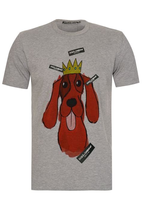 dolce gabbana dog t shirt|Dolce & Gabbana t shirt cheap.